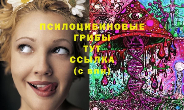 ешки Лиски