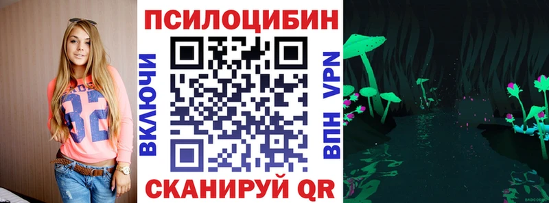 Псилоцибиновые грибы Psilocybe  закладка  MEGA   Владикавказ 